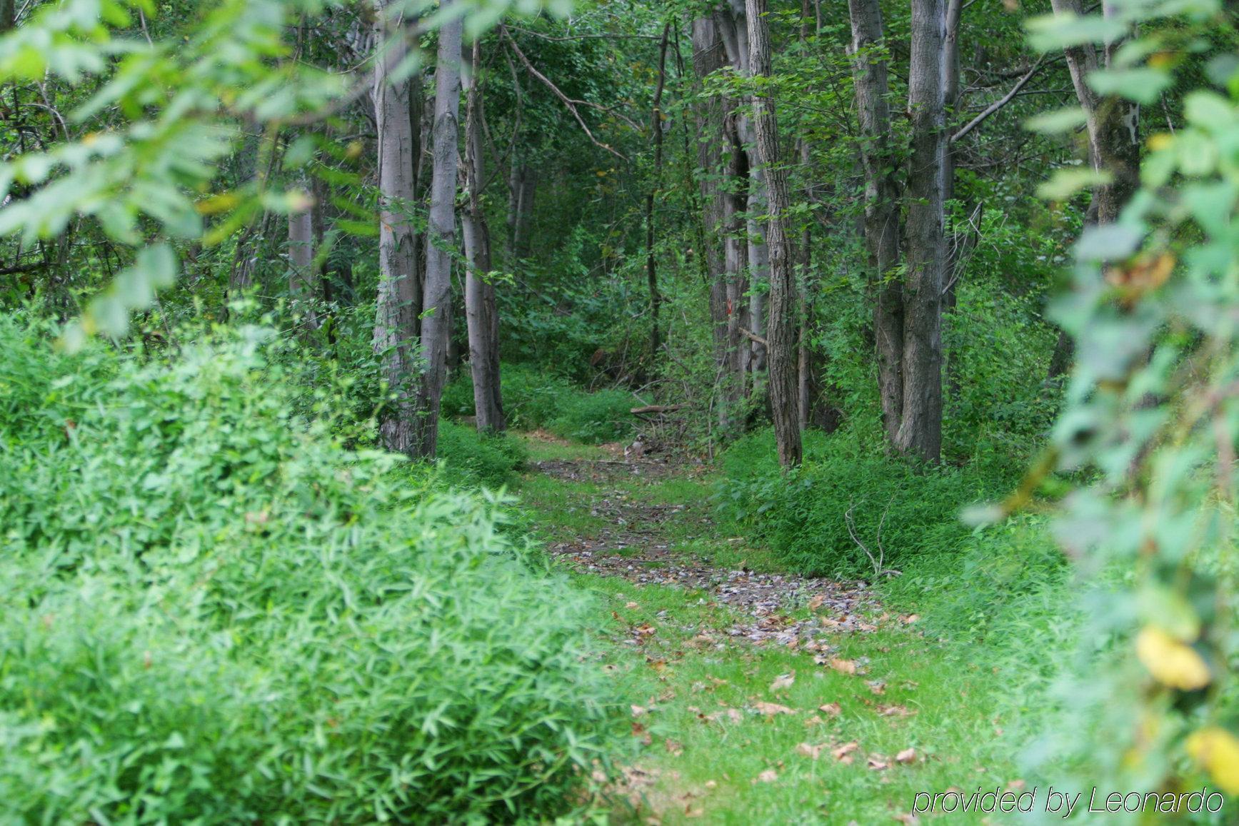 Elk Forge Bed And Breakfast Elkton Buitenkant foto
